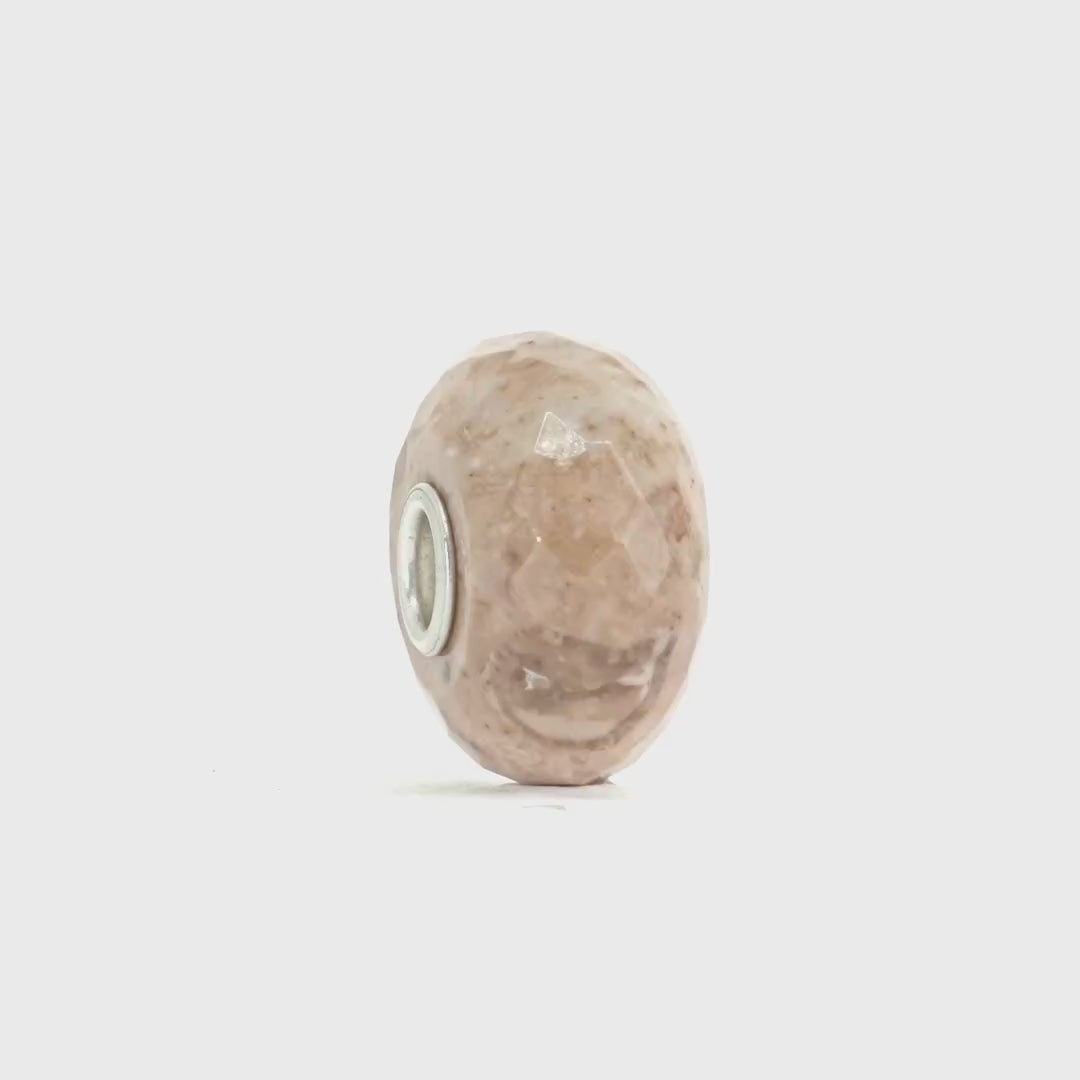 Fossilised Shell Bead