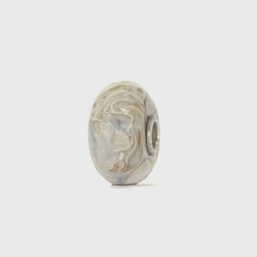 Fossilised Wood Bead