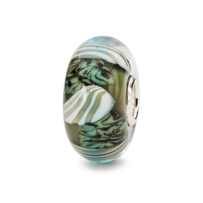 Curious Clams Bead